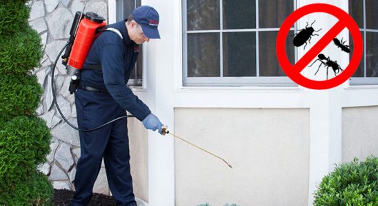 Dernekpazarı Gümüşkurt İlaçlama böcek ilaçlama ve haşere kontrolü — ilaclama-tr.com